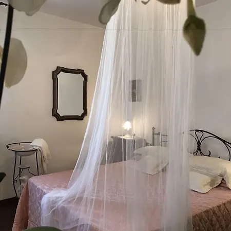 Del Papa 4*