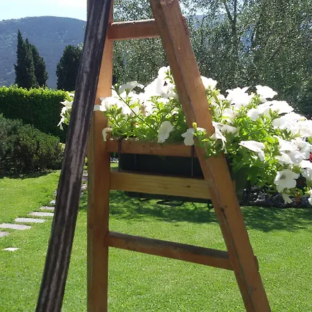 Гостевой дом Del Papa